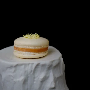 gaenseleber macaron foto christian woeber
