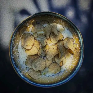 schwarzer trueffel foto christian woeber